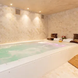 Adler Cavalieri Hotel-private & Gym 4* Firenze